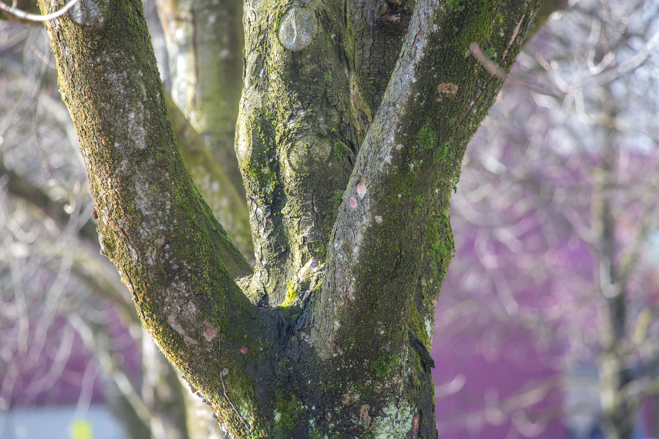 20150228151352 RD 85353